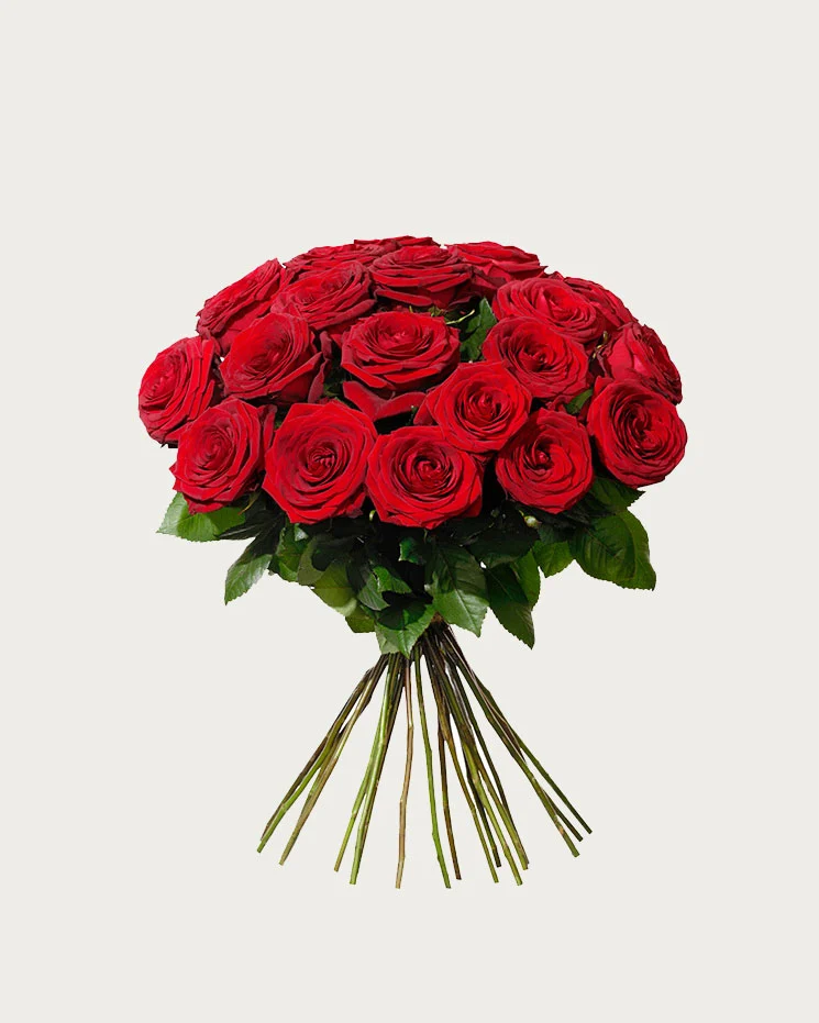 blombud Enskede fraktfritt - 20 röda rosor och blommor
